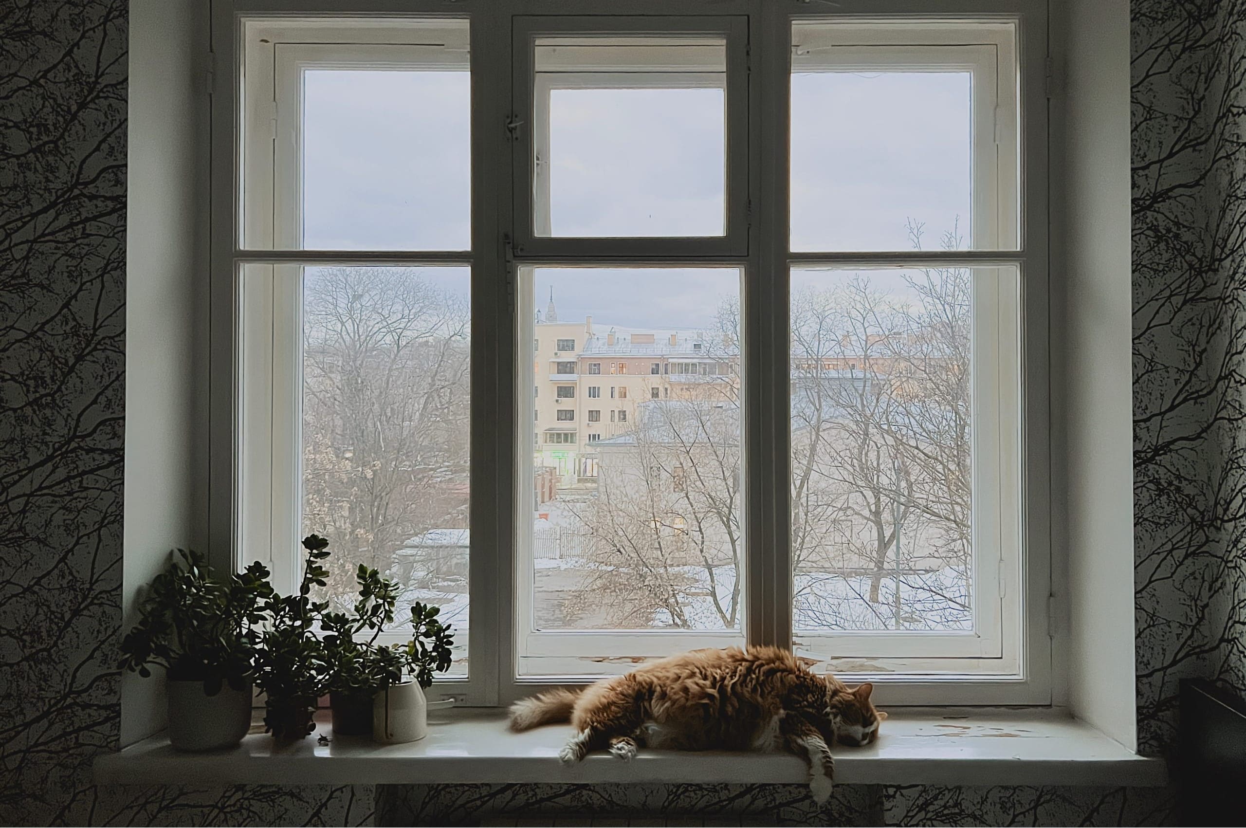 Isolation